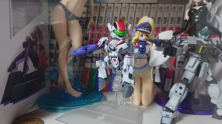 TINY SESSION 超时空要塞F VF-25F 弥赛亚女武神(有人专用) 与雪莉