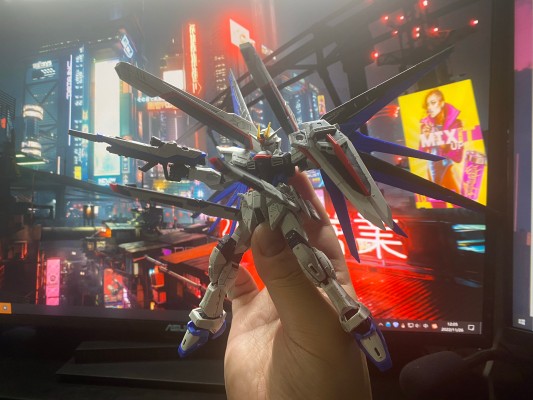 RG 1/144 高达基地专属商品   自由高达 GCP版