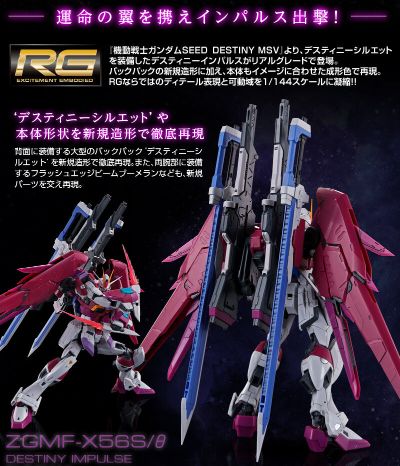 RG  命运脉冲高达