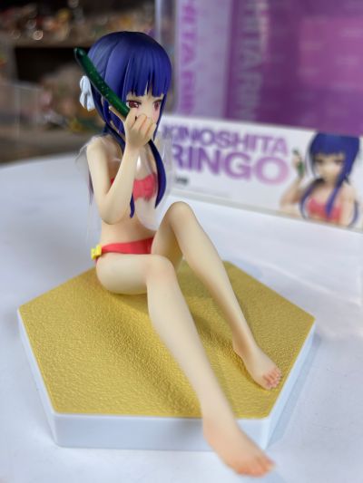 BEACH QUEENS 农林 木下林檎