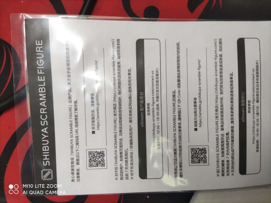 青春猪头少年不会梦到兔女郎学姐 牧之原翔子 江之岛