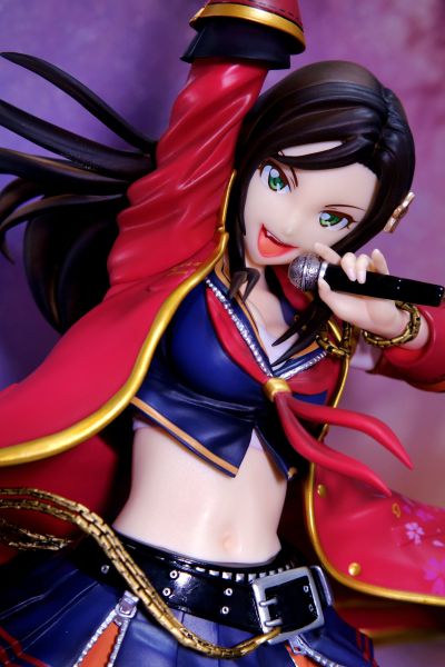 偶像大师灰姑娘女孩 向井拓海