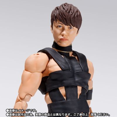 S.H.Figuarts T.M.Revolution