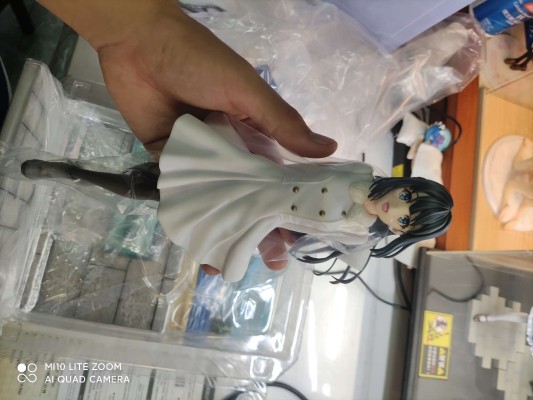 青春猪头少年不会梦到兔女郎学姐 牧之原翔子 江之岛