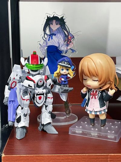 TINY SESSION 超时空要塞F VF-25F 弥赛亚女武神(有人专用) 与雪莉