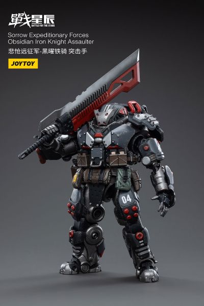 战星辰 悲怆远征军-黑曜铁骑 突击手