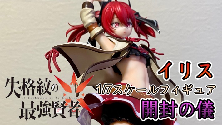 失格纹的最强贤者 伊莉丝