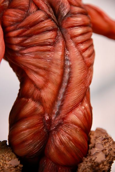 进击的巨人 超大型巨人