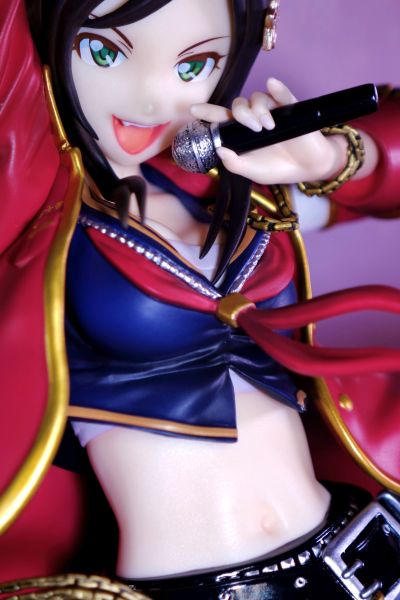 偶像大师灰姑娘女孩 向井拓海