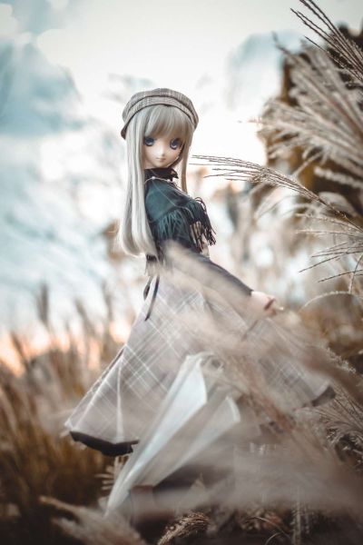 Dollfie Dream Dynamite DDdy 美子