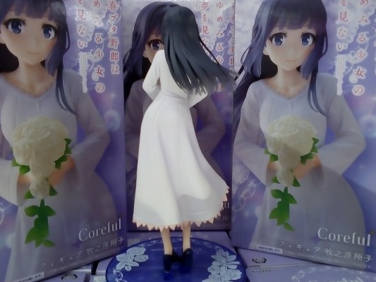 Coreful  青春猪头少年不会梦到怀梦美少女 牧之原翔子