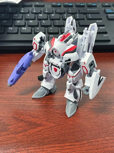 TINY SESSION 超时空要塞F VF-25F 弥赛亚女武神(有人专用) 与雪莉