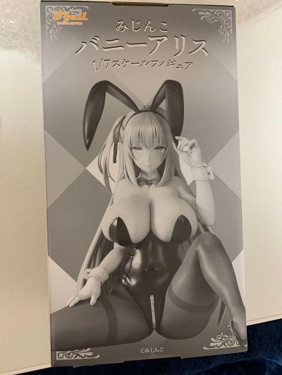 兔女郎爱丽丝 通常版