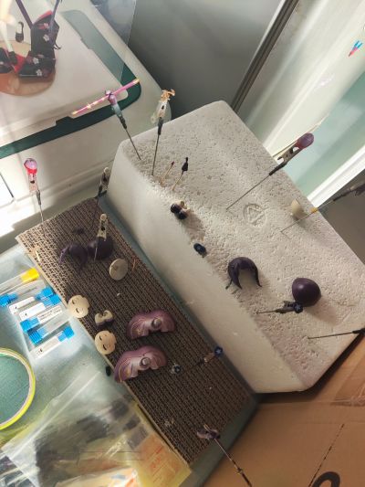 原神 御建鸣神主尊大御所大人像