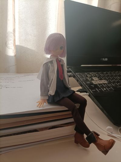 PureNeemo角色系列 No.141  命运-冠位指定 玛修·基列莱特