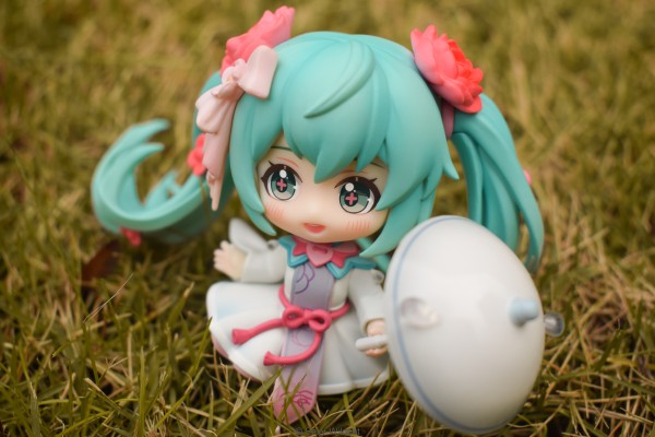 初音未来 花织雨润