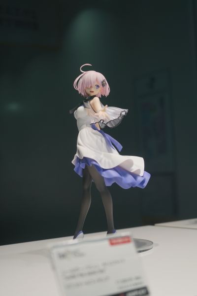 命运-冠位指定 盾兵-玛修·基列莱特 under the same sky