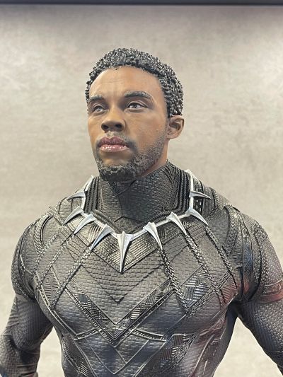 PREMIUM FORMAT 300764 黑豹