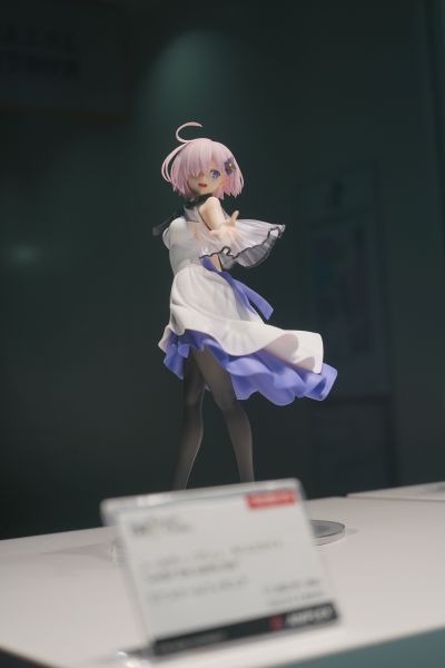 命运-冠位指定 盾兵-玛修·基列莱特 under the same sky