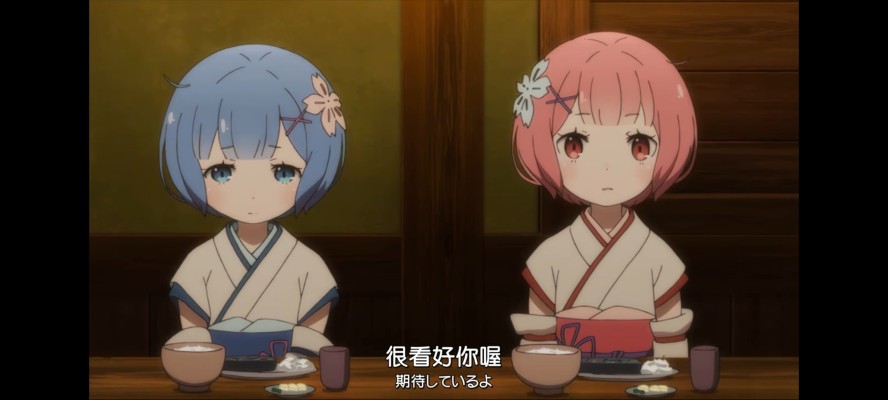 Re：从零开始的异世界生活 蕾姆 与 拉姆 幼夏的记忆