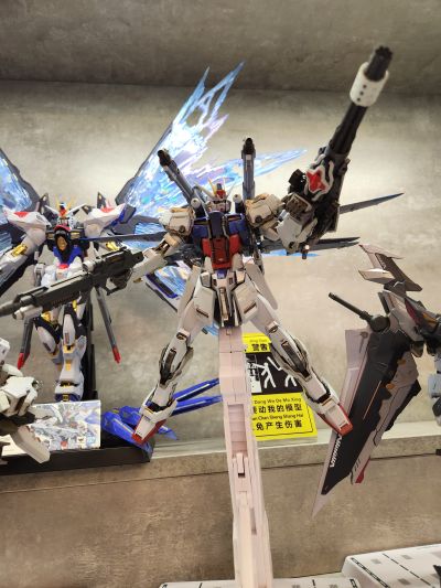 METAL BUILD 机动战士高达SEED MSV I.W.S.P.