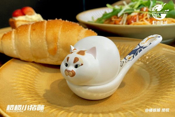 楼楼小猪咪  第二弹