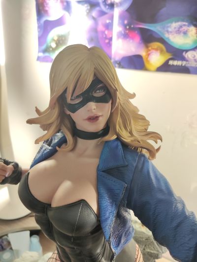 MMDC-49EX 黑金丝雀 黑金丝雀 EX版