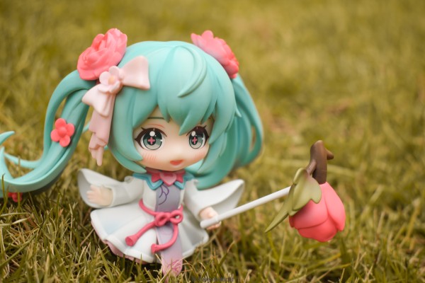 初音未来 花织雨润