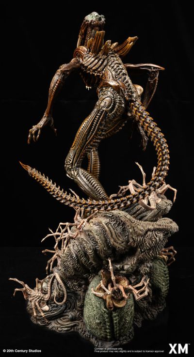 战斗异形 棕色变种