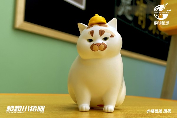 楼楼小猪咪  第二弹