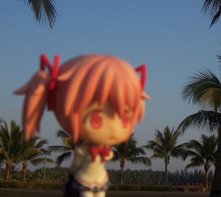 WF Wonder娘 Private Version 