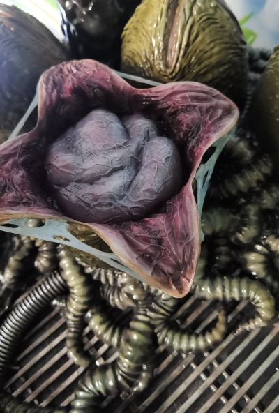 PMDHAL-04 异形 人造异形王