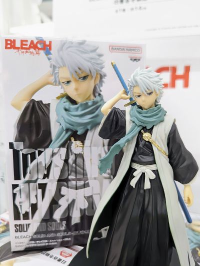 SOLID AND SOULS 境·界 日番谷冬狮郎