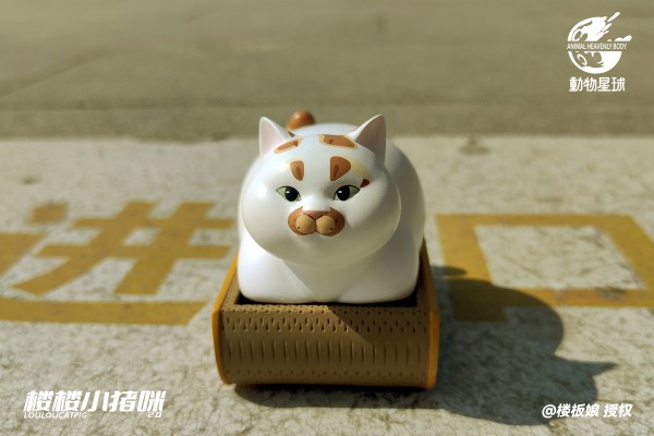 楼楼小猪咪  第二弹