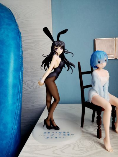 Re:从零开始的异世界生活 -悠闲时光-雷姆