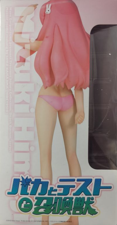 BEACH QUEENS 笨蛋测试召唤兽 姬路瑞希