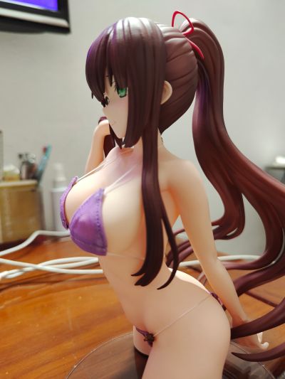 噬血狂袭 煌坂纱矢华 布泳装ver.