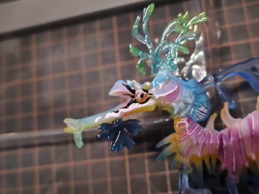 高级生物大图鉴  叶海龙