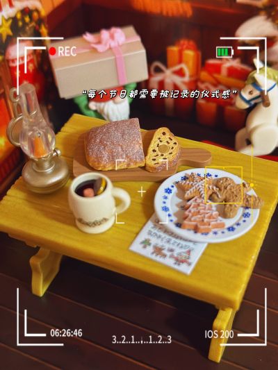 小小样品系列 圣诞老人的家