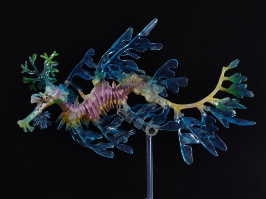 高级生物大图鉴  叶海龙