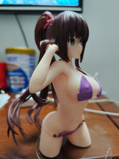 噬血狂袭 煌坂纱矢华 布泳装ver.