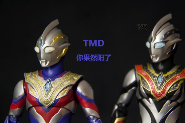 S.H.Figuarts  邪恶特利迦