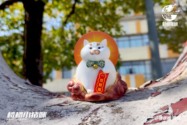 楼楼小猪咪  第二弹