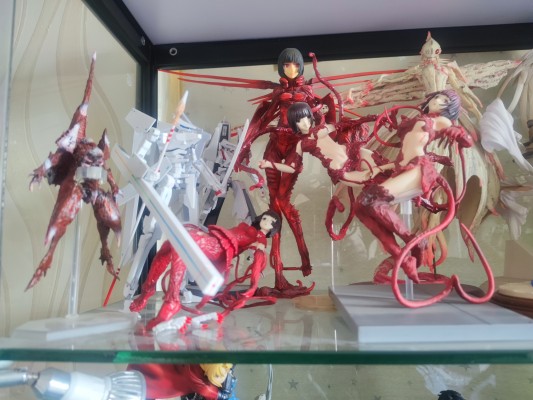 希德尼亚的骑士 胞衣星白