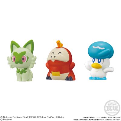 宝可梦Kids  帕底亚地区篇