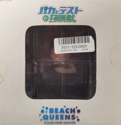 BEACH QUEENS 笨蛋测试召唤兽 姬路瑞希