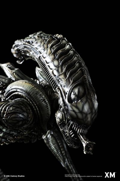 战斗异形 黑色变种