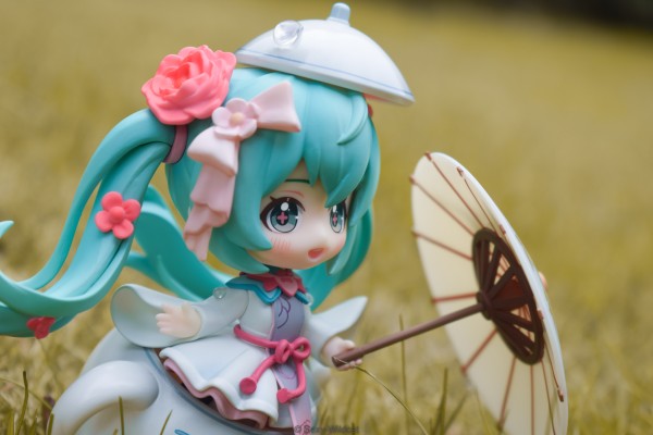初音未来 花织雨润