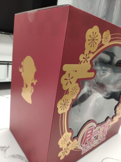 泠鸢yousa 月下歌