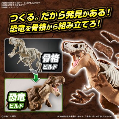 恐龙拼装模型 暴龙